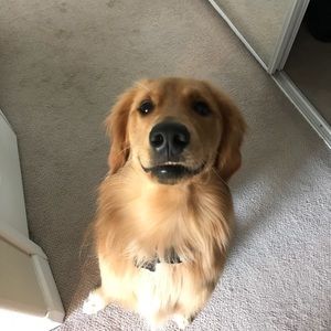 Meet your Posher, Franz